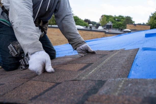 Best Sealant for Roof  in Farmersville, TX